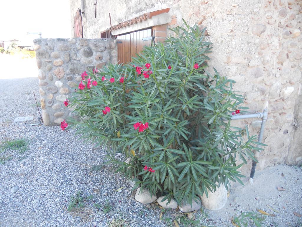 Agriturismo Le Mura Del Gherlo Villa Valeggio sul Mincio Ngoại thất bức ảnh